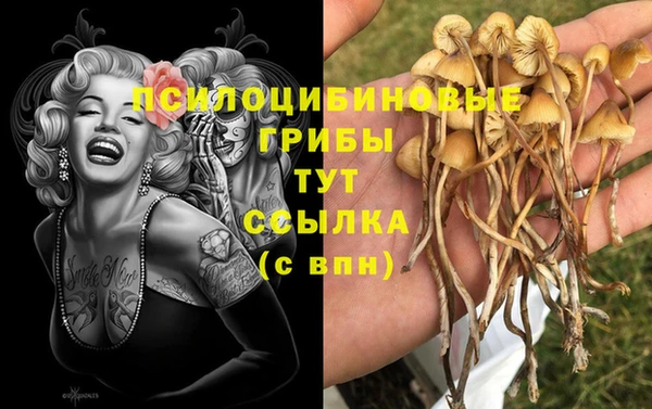 молекула духа Дмитриев