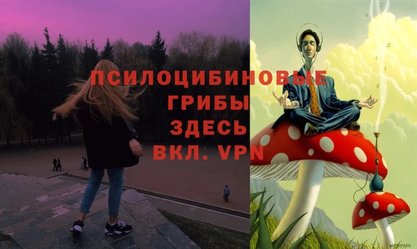 меф Дмитровск