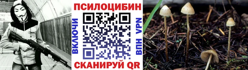 Галлюциногенные грибы прущие грибы Перевоз